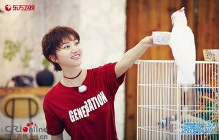 娱乐圈吃瓜王源